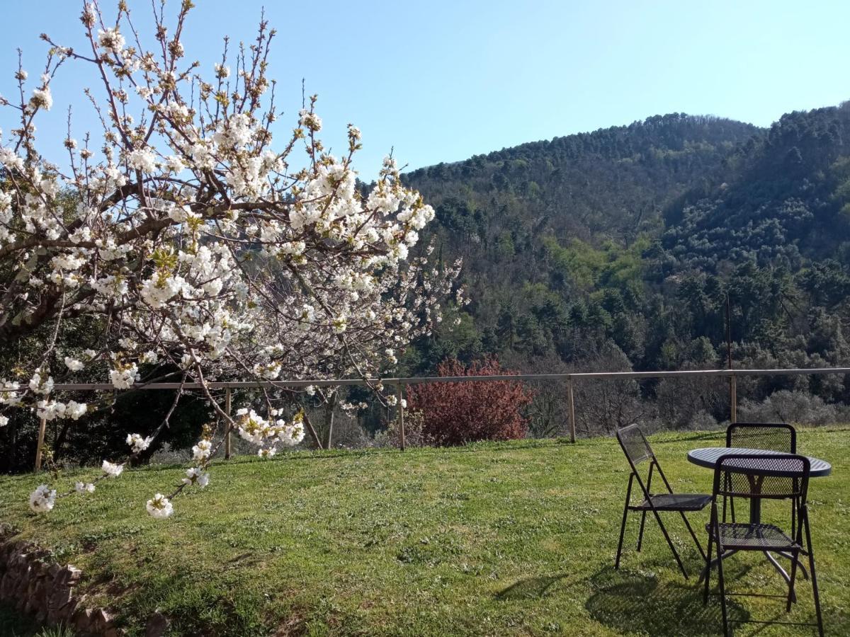 Ferienwohnung Il Silenzio Lucca Exterior foto
