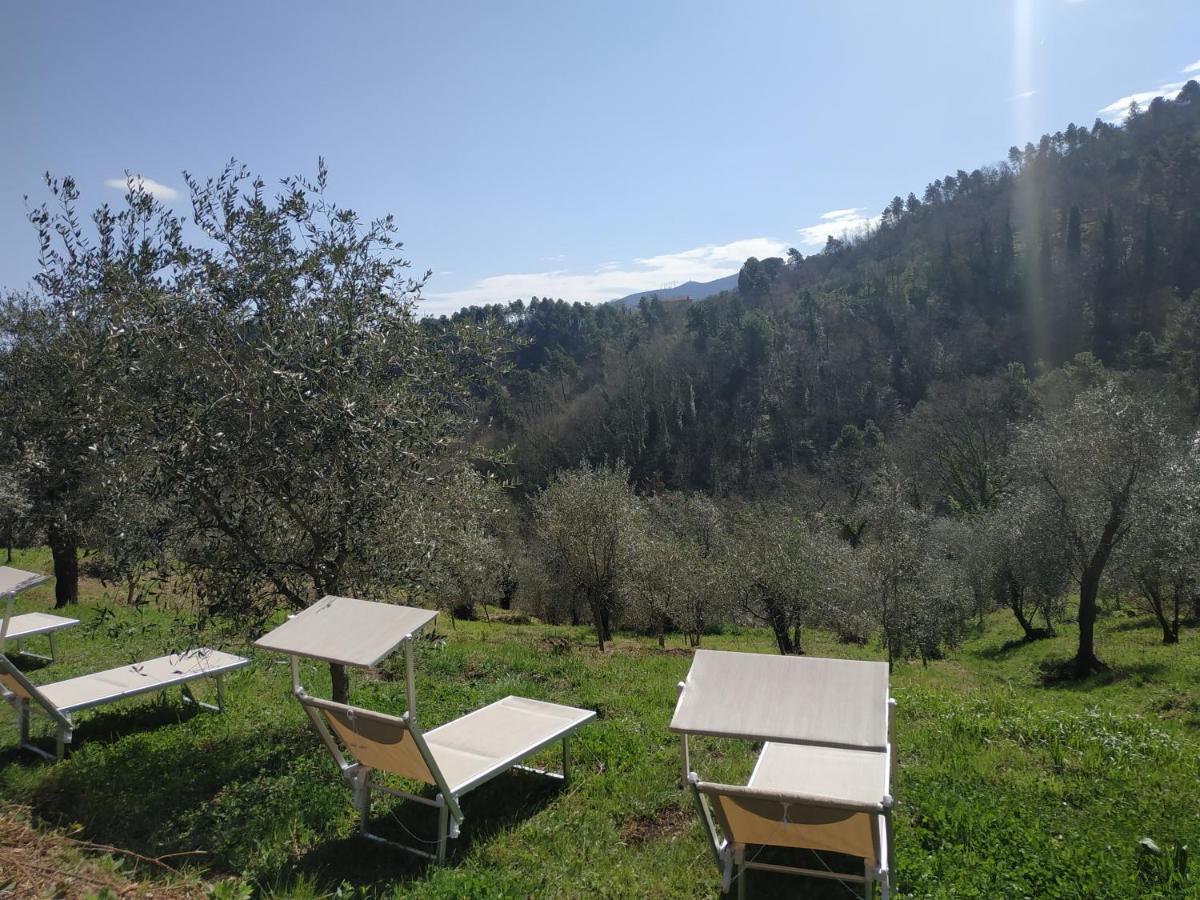 Ferienwohnung Il Silenzio Lucca Exterior foto